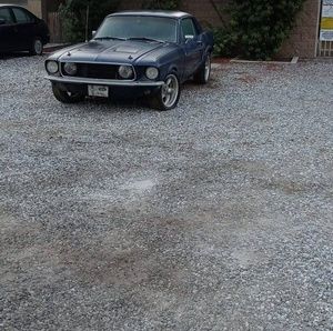 Meet your Posher, Pancho hasbun